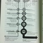 Mindset ใช้ความคิด เอาชนะโชคชะตา (3)