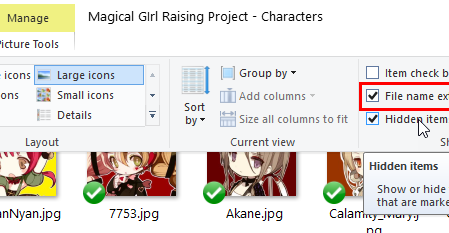 [Windows] วิธีแสดง File Extension (นามสกุลไฟล์) ใน Folder