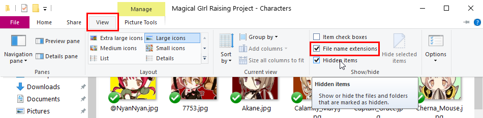 [Windows] วิธีแสดง File Extension (นามสกุลไฟล์) ใน Folder (2)
